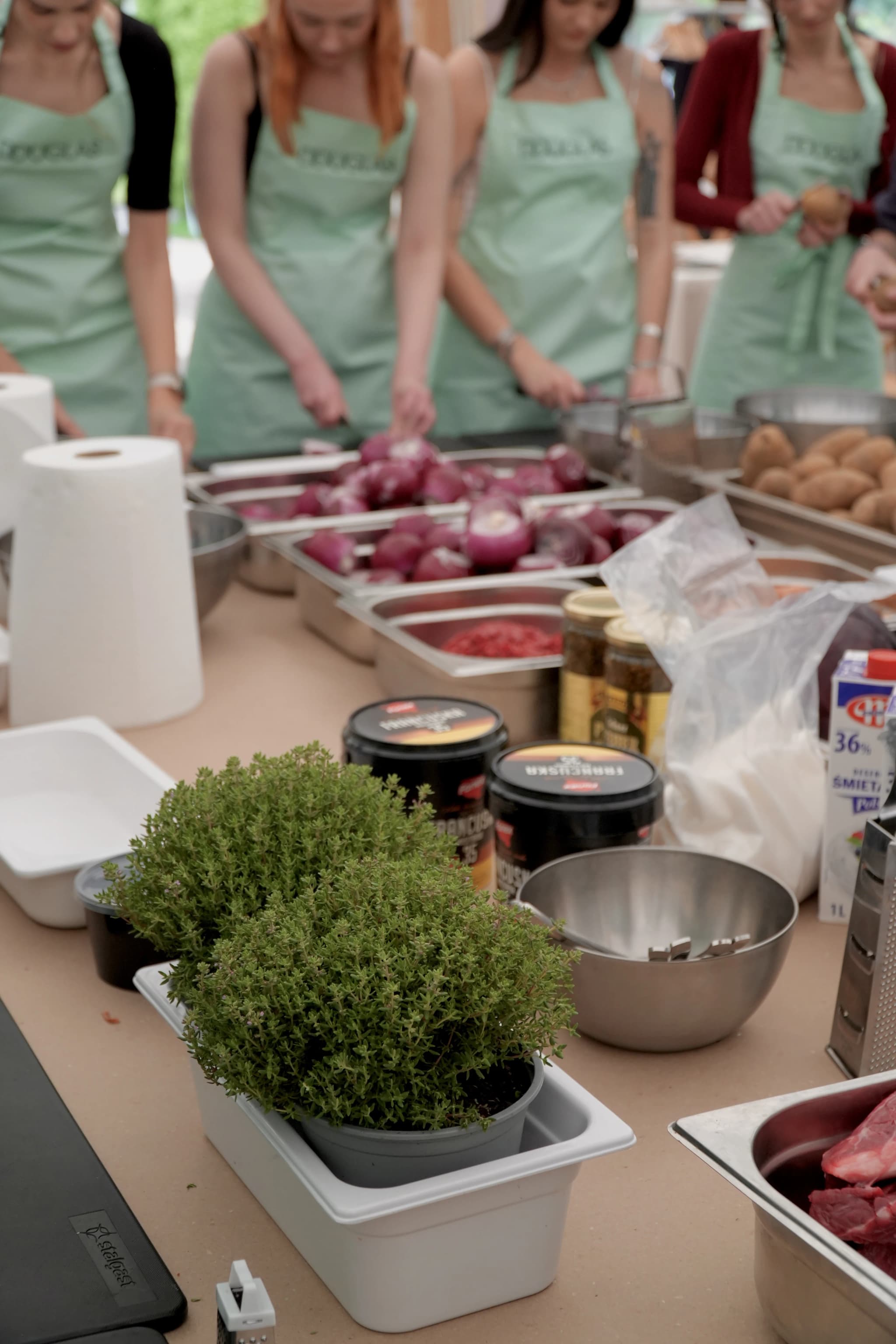 Team building activities at Pałac Żółwin