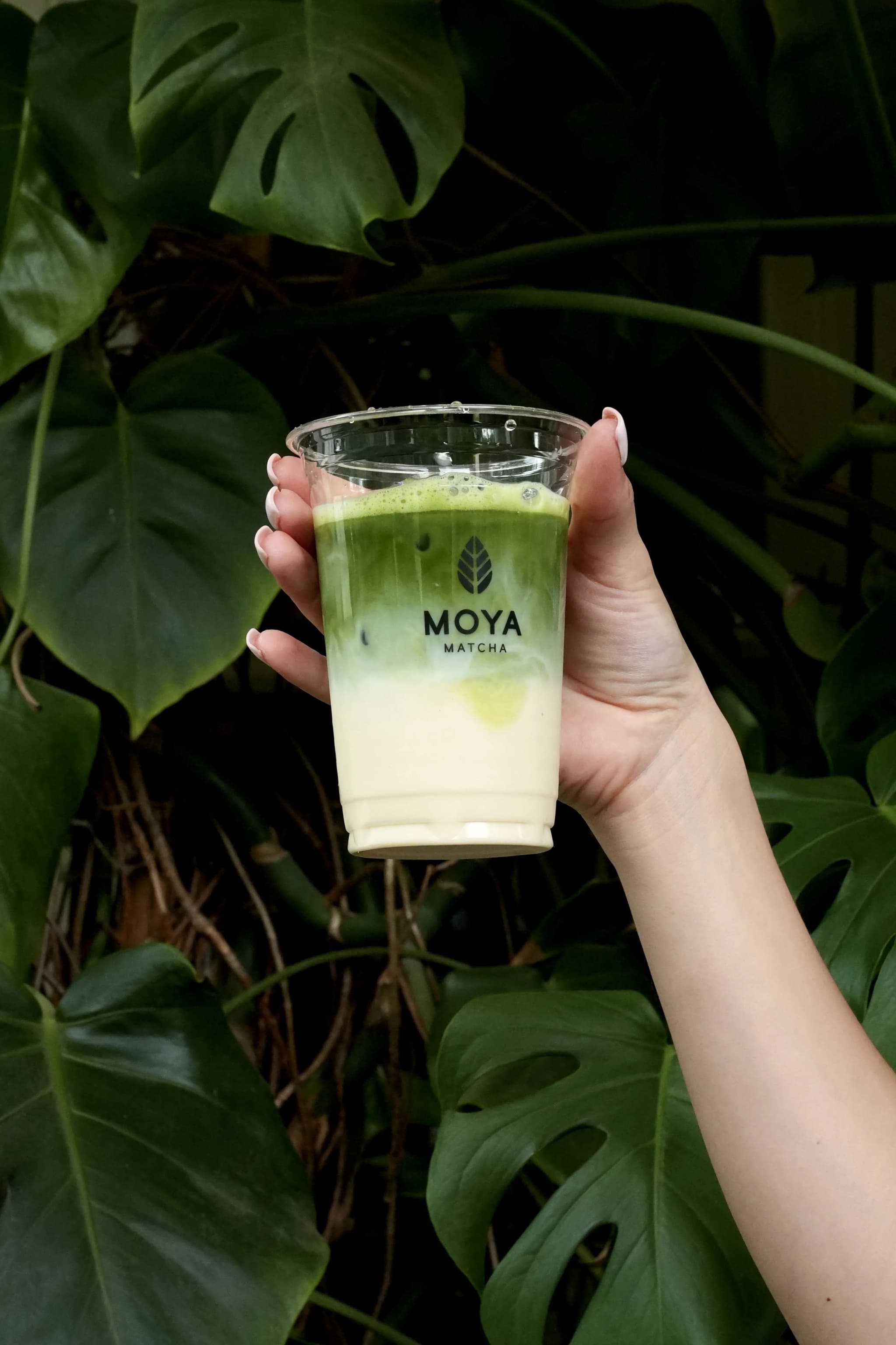 Mrożona matcha na tle zieleni